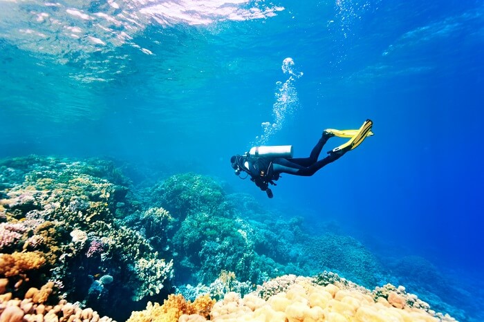 scuba dive