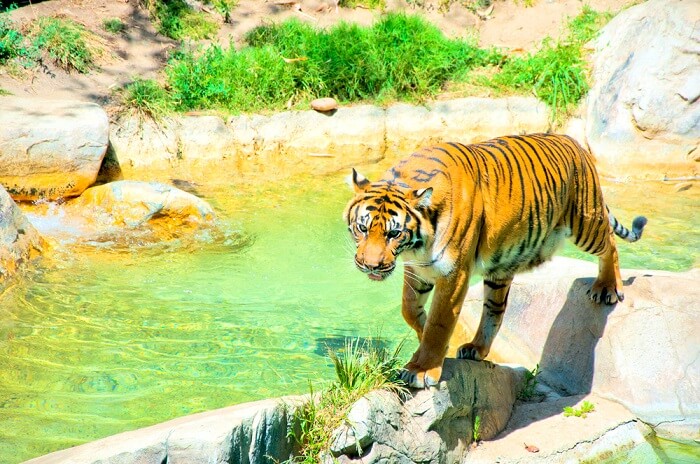 Zoos In Los Angeles