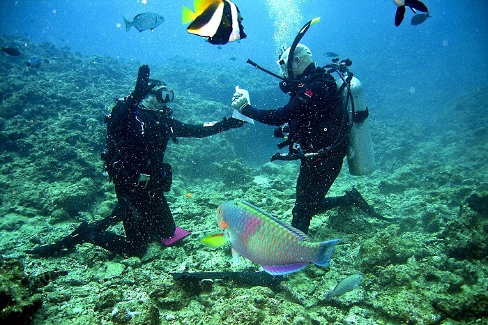egypt