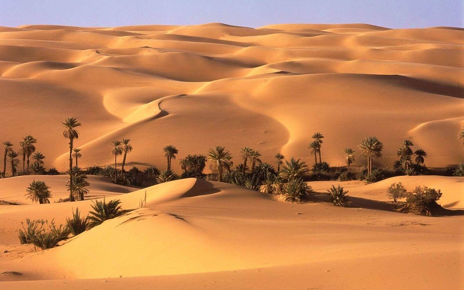 The desert of Egypt