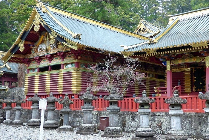 nikko