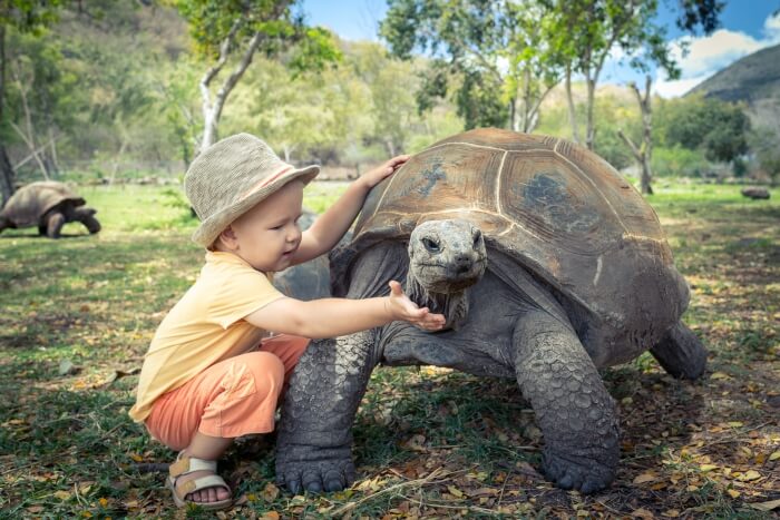 Zoos In Seychelles