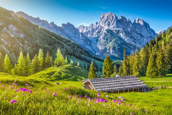swiss national park cover