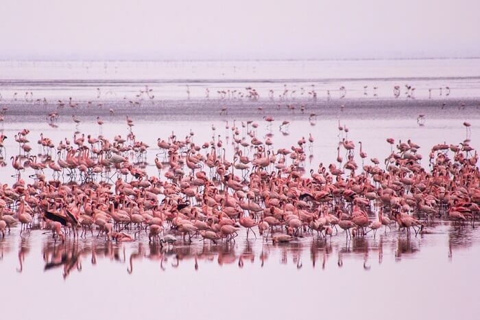 tanzania april
