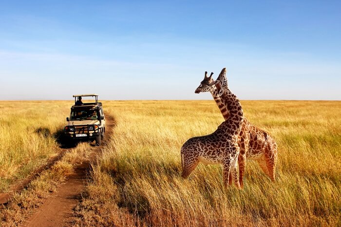 tanzania summer