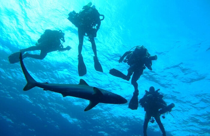 Diving under water