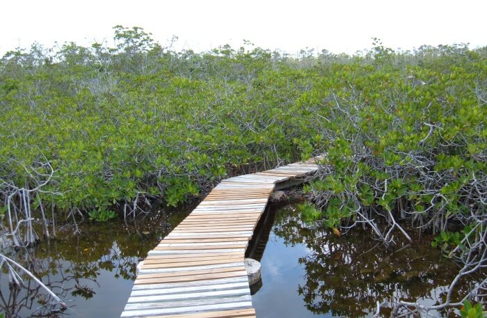 Abaco National Park