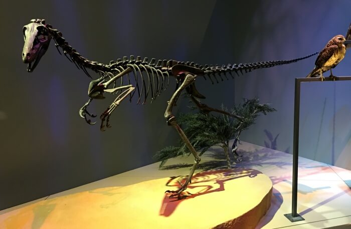 Alaska Museum of Science and Nature