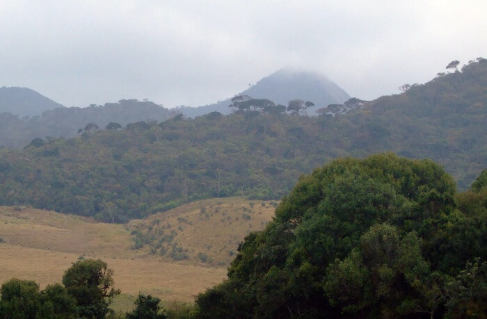 Ambuluwawa-Mountain