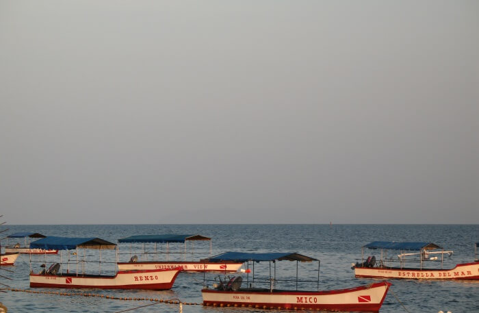 Anilao Beach