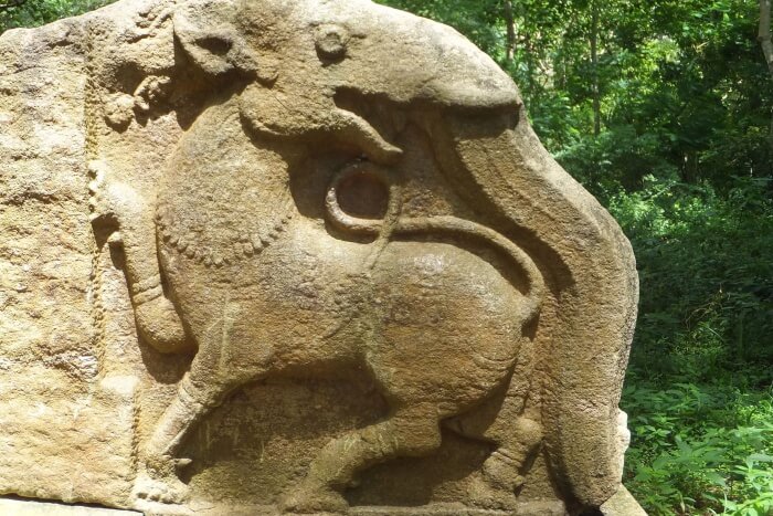 Animal Rocks