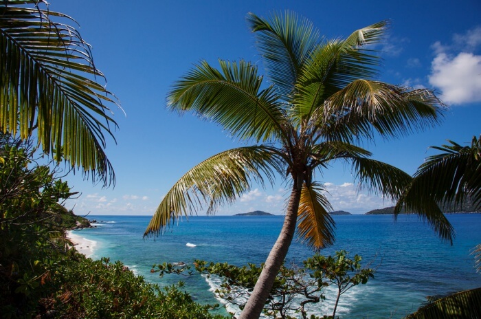 Anse fourmis