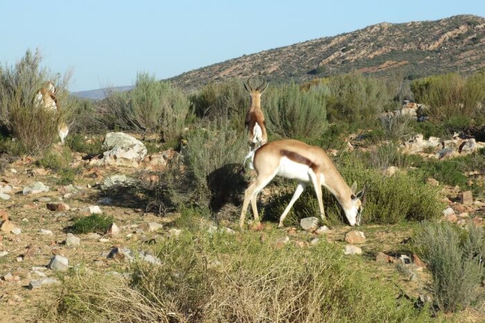 Aquila Reserve