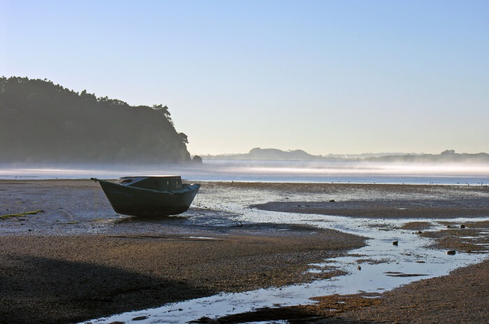 Auckland Wilderness Highlights Eco-Tour