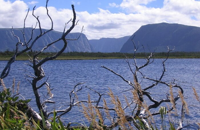 Lake view