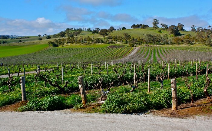 Barossa Valley