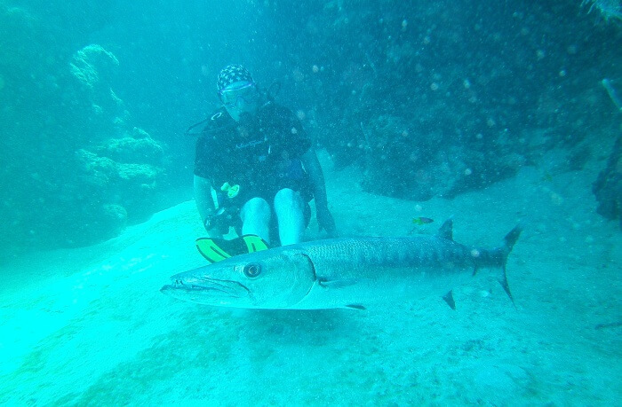Barracuda Reef