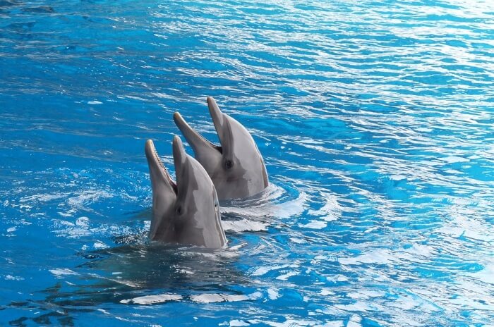 Bayworld