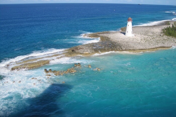 Best Time To Try Swimming With Pigs In Bahamas