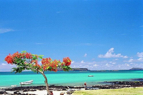Best Time To Visit Goodlands In Mauritius