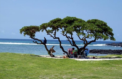 Best Time To Visit La Cambuse Beach