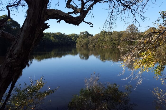 Blackburn Lake Sanctuary