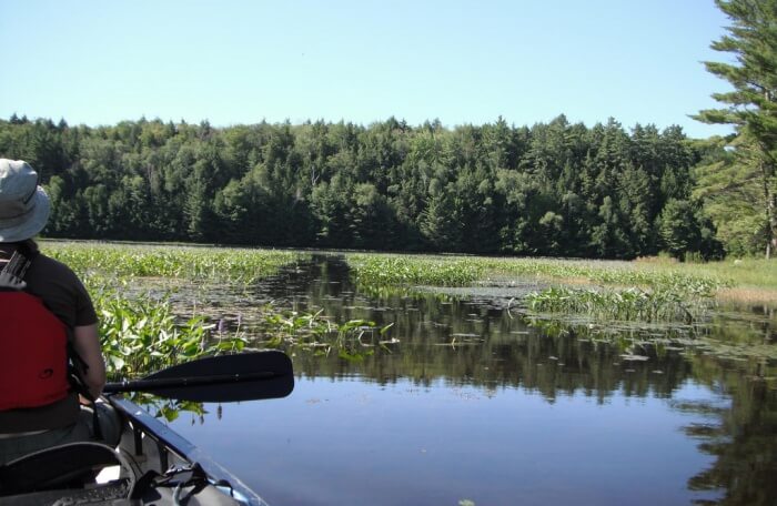 Bottle Lake
