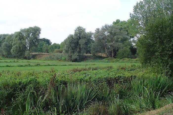 Bourgoyen