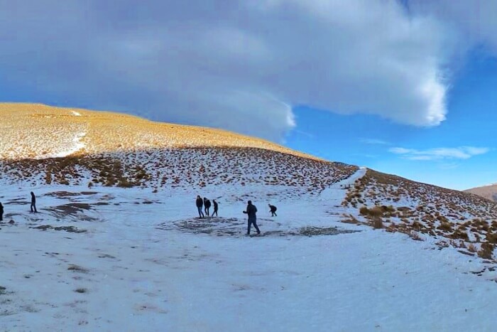 Cardrona
