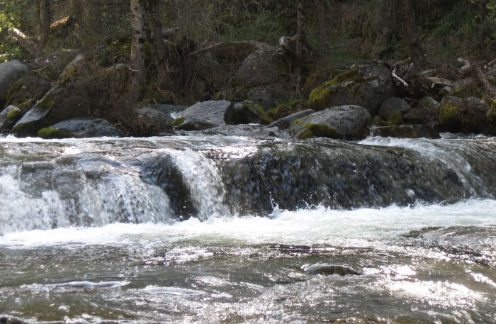 Carlon Falls Trail