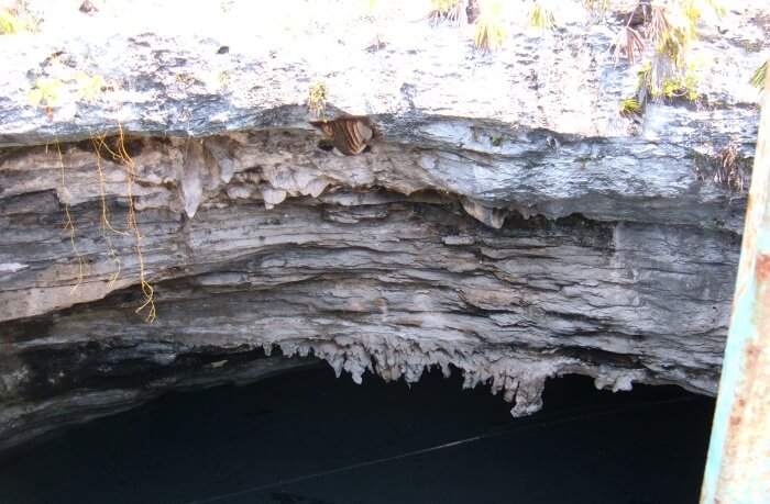 Caving in the Lucayan National Park