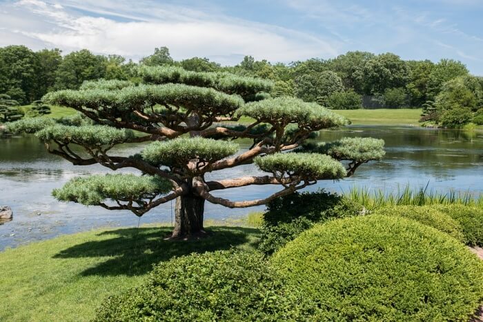 Chicago Botanic Garden