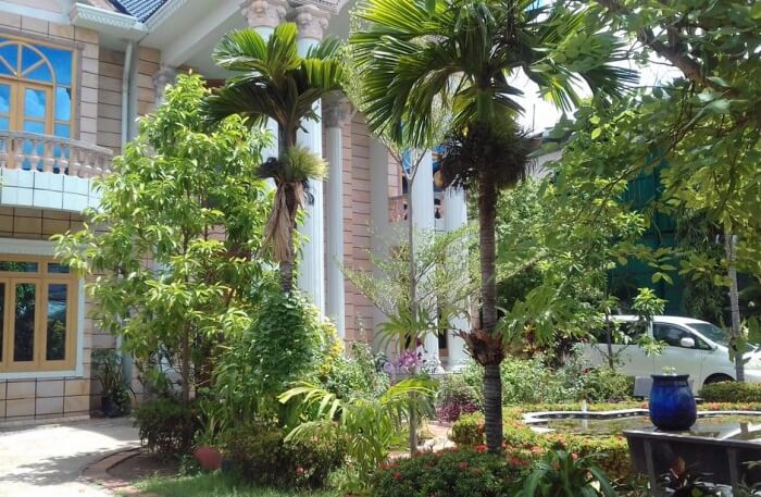 Garden view