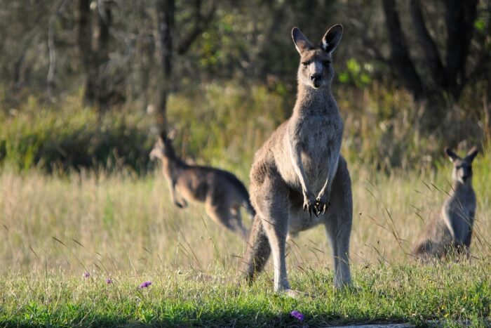 Churchill National Park