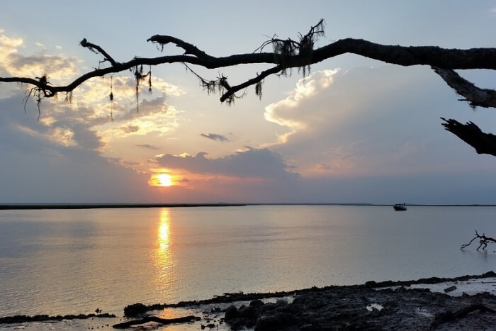 Cumberland Island