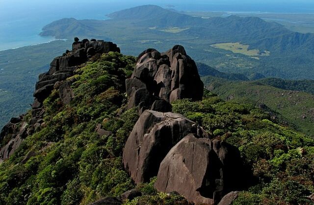 Daintree National Park