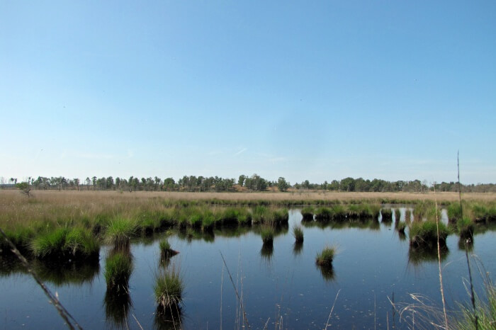 De Zoom– Kalmthoutse Heide