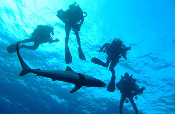 Diving Lessons under water