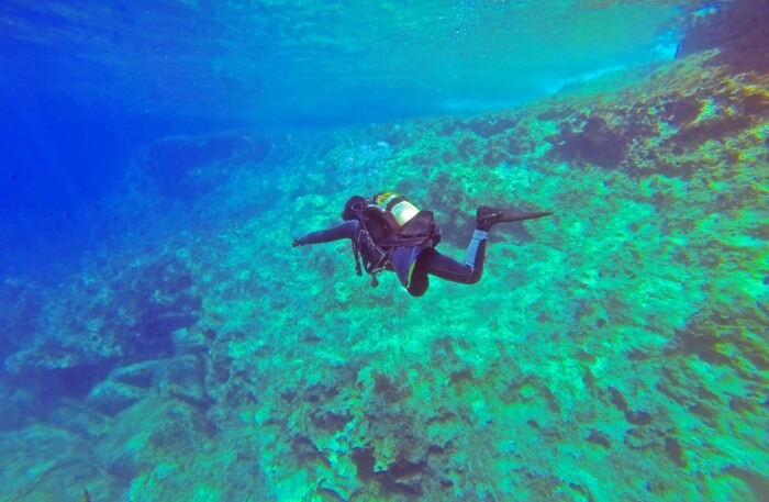 Diving