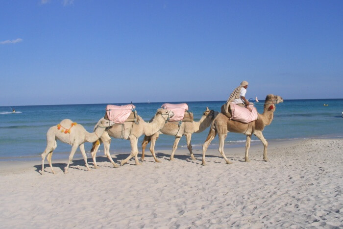 Djerba