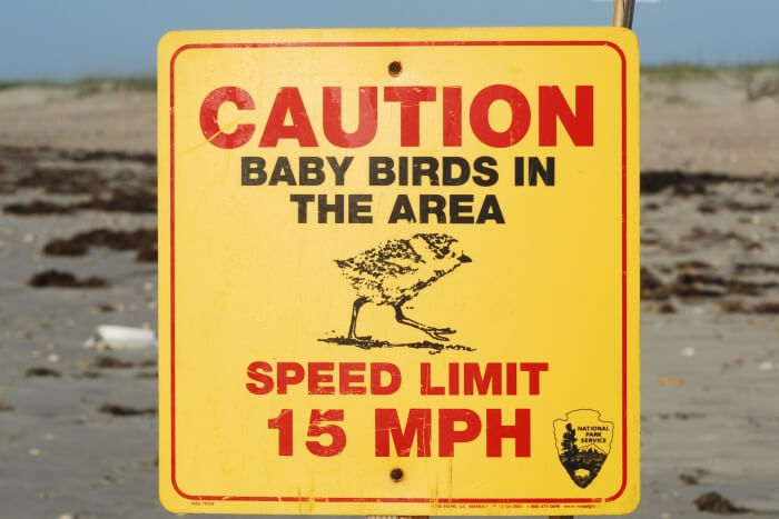 Do not ignore the signs on the beach