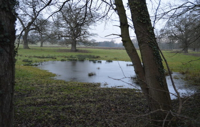 Nature Reserve
