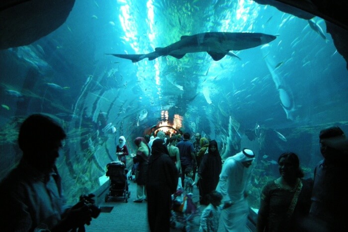 Dubai Aquarium and Underwater Zoo