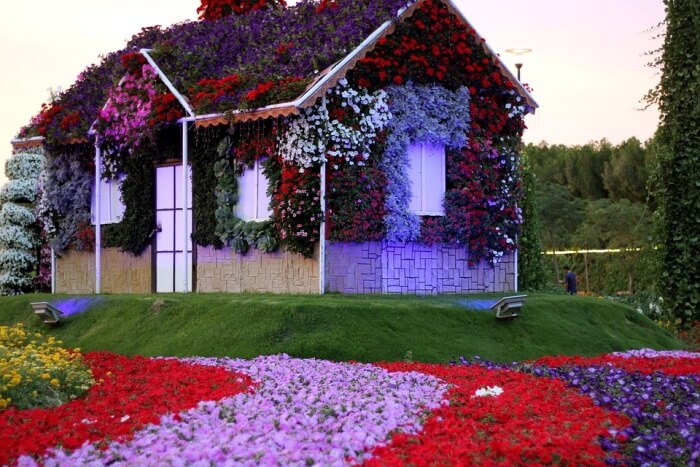 Dubai Miracle Garden