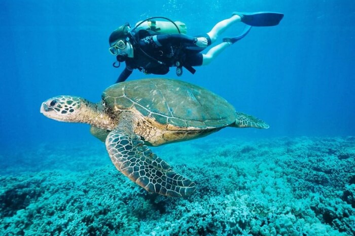Easydivers