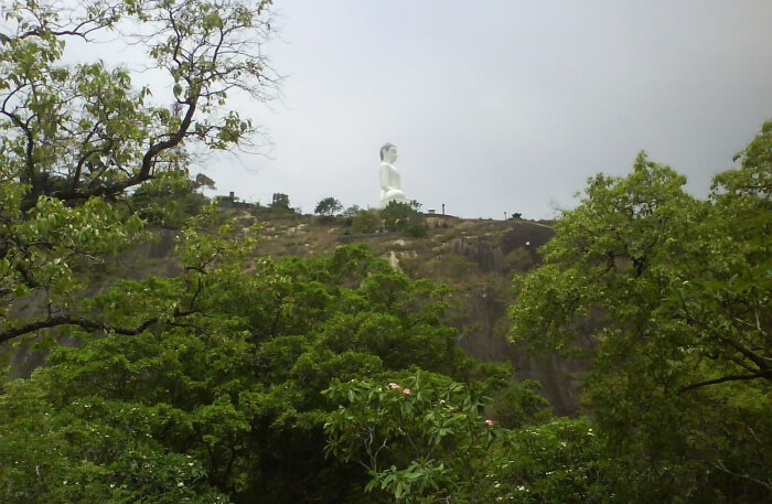Elephant Rock