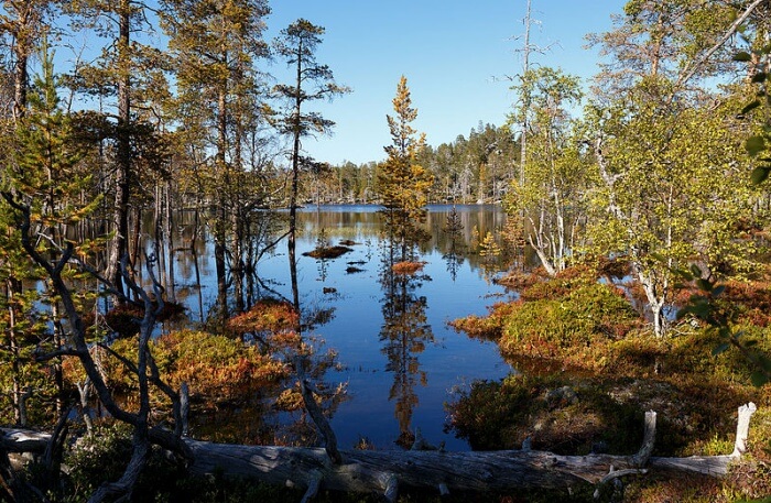 Beautiful lake View