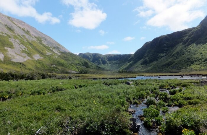 Ferry Gulch