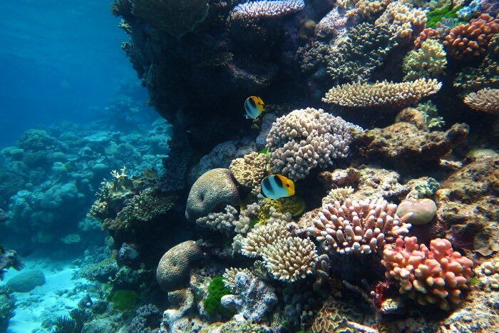 Great Barrier Reef