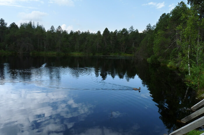 Great-Moss-Lake